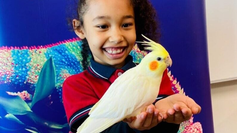 Kids events in San Antonio in May 2026 - Café & Cuddles