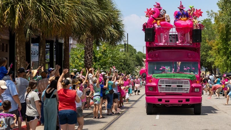 SATTD Weekend Getaway to Galveston - Flamingo Fest