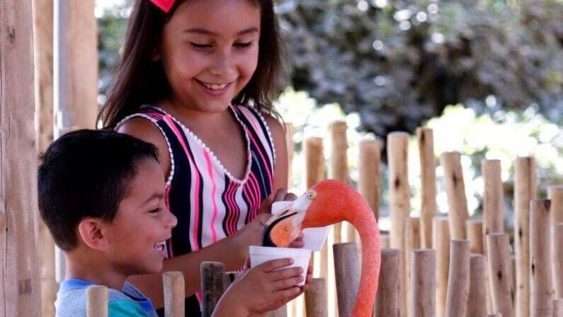 Earth day events San Antonio - Earth Day at San Antonio Zoo