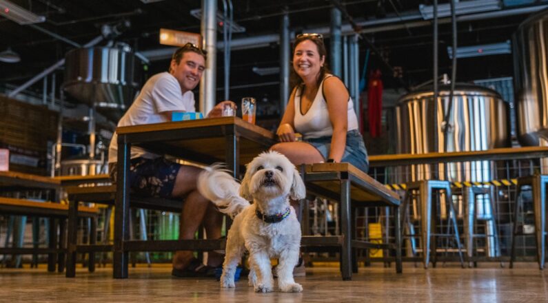10 Best San Antonio Breweries for Craft Beer, Food, and Pet-Friendly Fun 11 San Antonio Breweries - Roadmap Brewing Co.