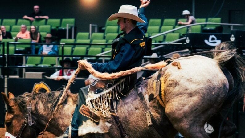 June 2026 Events in San Antonio for Adults From Concerts to Comedy 17 June 2026 events in San antonio for adults - Texas Hill Country Game Fair