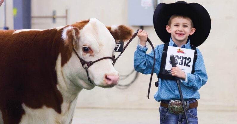 Kids Events in San Antonio in June 2026 for Summer Break Fun 17 Kids events in San Antonio in June 2026 - Texas Hill Country Game Fair