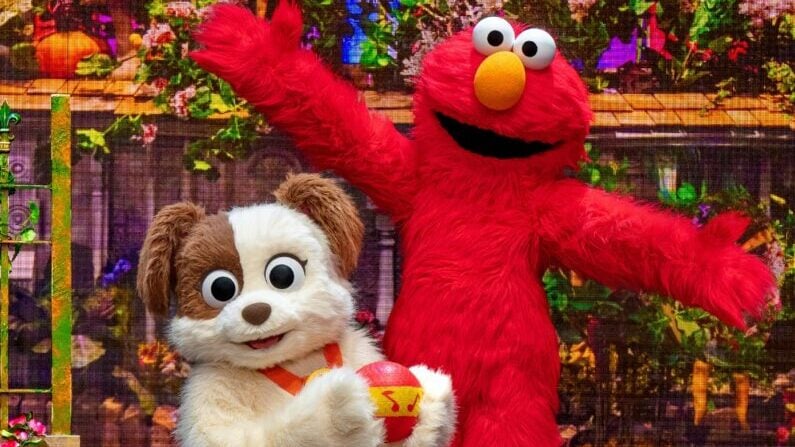 Kids Events in San Antonio in June 2026 for Summer Break Fun 22 Kids events in San Antonio in June 2026 - Sesame Street Live
