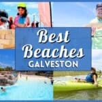 The Ultimate San Antonio Guide to the Best Beaches in Galveston