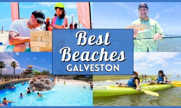 The Ultimate San Antonio Guide to the Best Beaches in Galveston