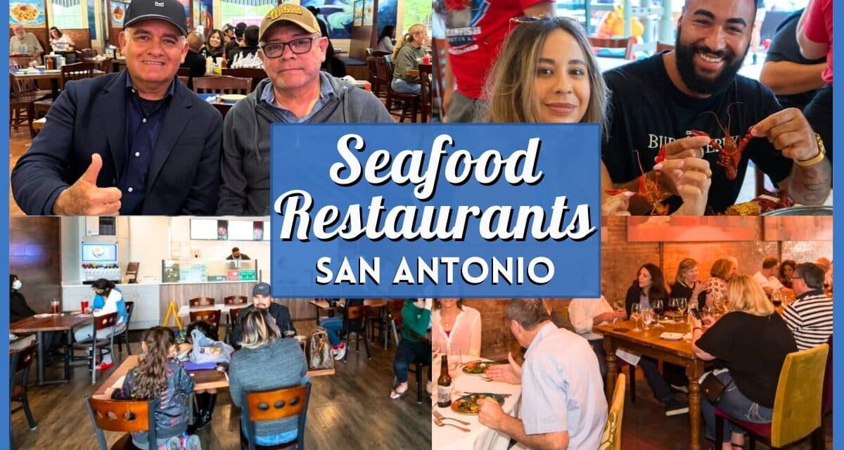 10 Best Seafood Restaurants San Antonio: Top Fresh Catch & Boils