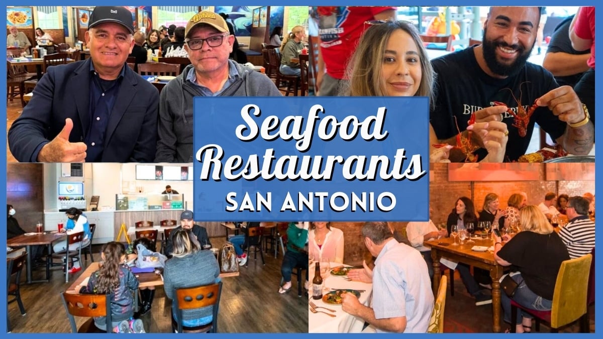 10 Greatest Seafood San Antonio Eating places