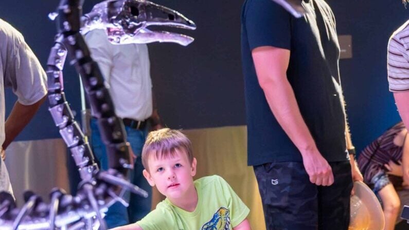 Free and fun things to do in San Antonio July 31 - August 2 2026 - Dinosaurs in Motion
