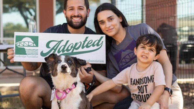 Kids events in San Antonio in October 2026 - Dogtober Pet Adoption Fall Festival
