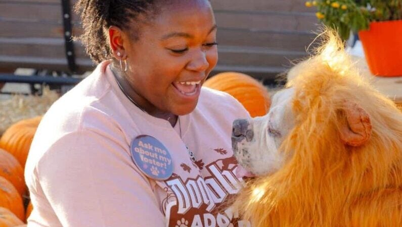 October 2026 Events in San Antonio for Adults: Best Ways to Enjoy Fall 21 October 2026 events in San Antonio for adults - Dogtober Pet Adoption Fall Festival