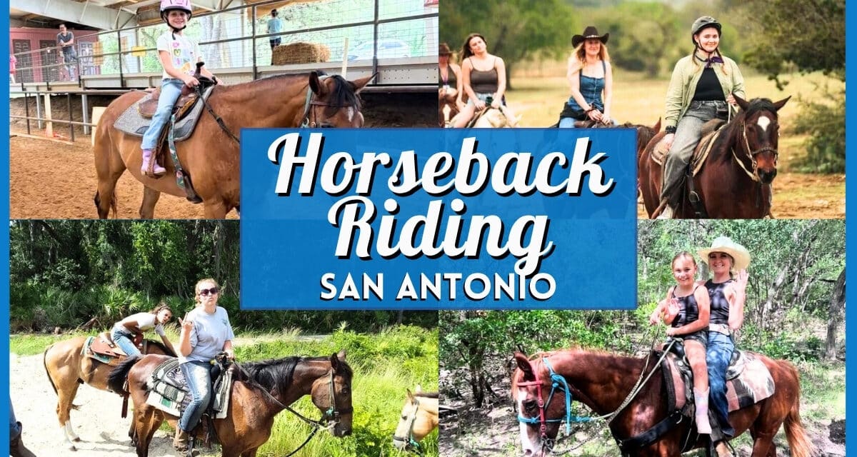15 Best Spots for Horseback Riding in San Antonio