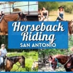 15 Best Spots for Horseback Riding in San Antonio