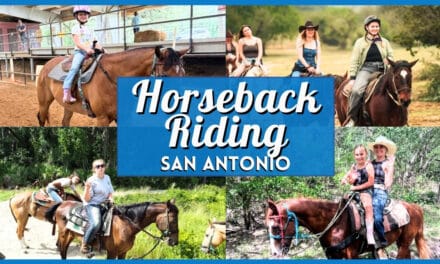 15 Best Spots for Horseback Riding in San Antonio