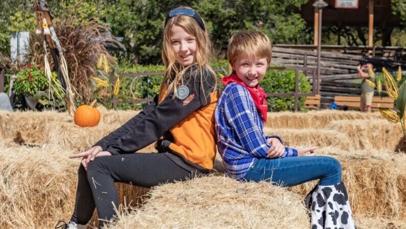 Kids events in San Antonio in October 2026 - CAVERN BAT FEST
