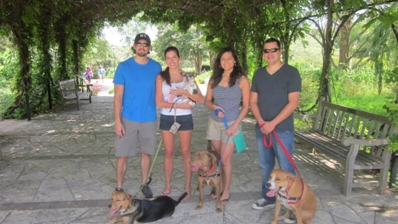 San Antonio picks August 31 - September 3 2026 - Dog Days of Summer
