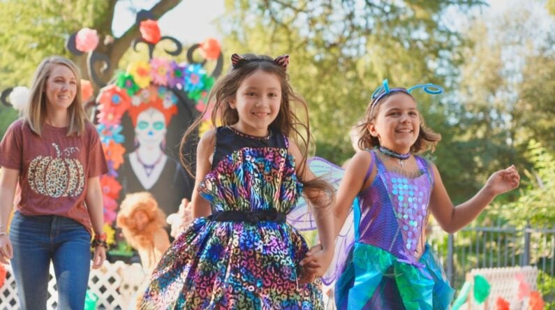 Kids Events in San Antonio in September 2026: The Ultimate Family Roundup 20 Kids events in San Antonio in September 2026 - Zoo Boo! Presented by PNC