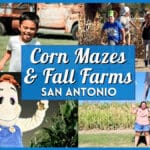 Best Corn Mazes & Harvest Farms Near San Antonio