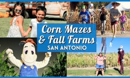 Best Corn Mazes & Harvest Farms Near San Antonio