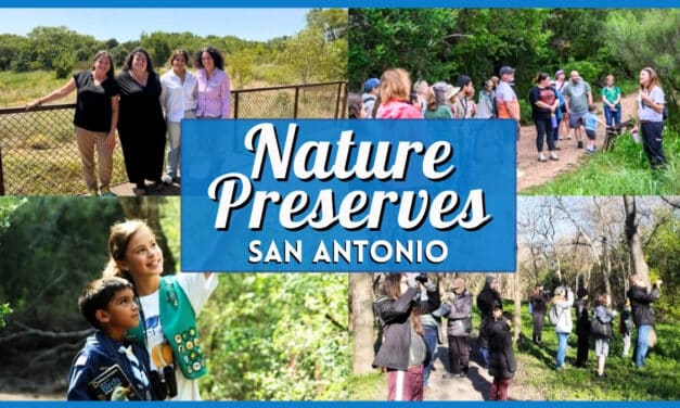 10+ Best Parks & Nature Preserves in San Antonio