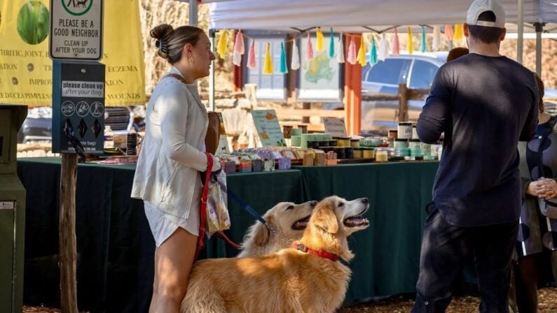 Best Farmers Markets in San Antonio with Ready-to-Eat Food 11 San Antonio Farmers Markets - Herff Farm Farmers Market