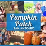 Pumpkin Patch San Antonio 2026: Best Farms & Festivals