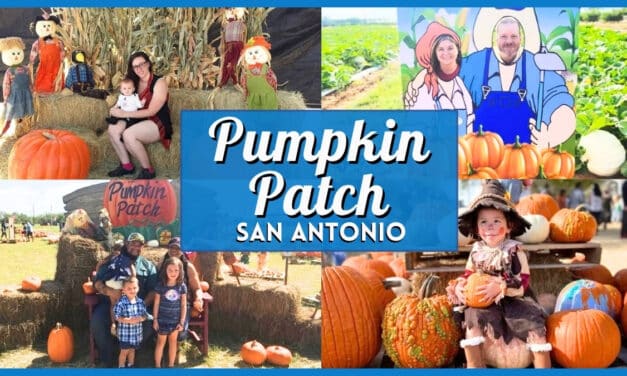 Pumpkin Patch San Antonio 2026: Best Farms & Festivals