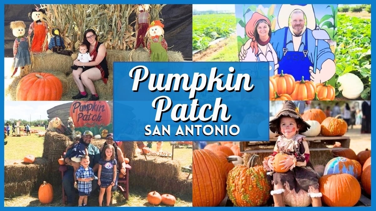 Pumpkin Patch San Antonio