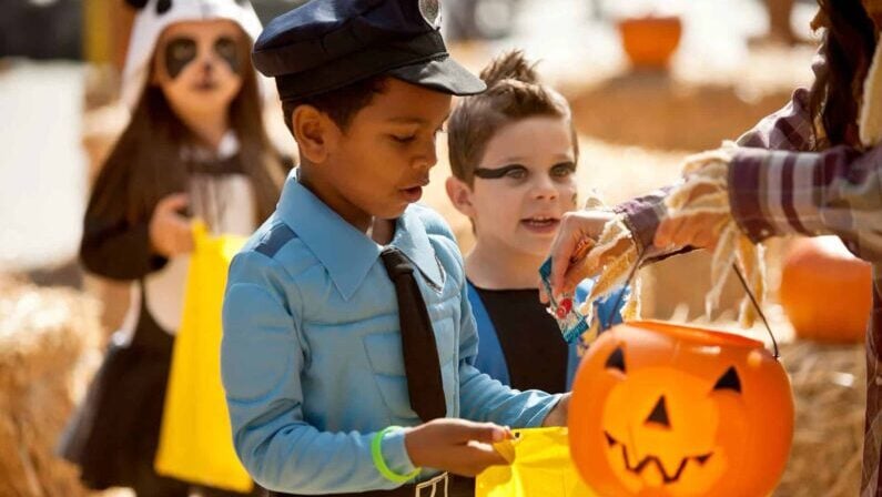 Halloween Day in San Antonio 2026: Freebies, Malls & Candy Trail 14 Halloween day in San Antonio - Six Flags Fiesta Texas — Tricks and Treats