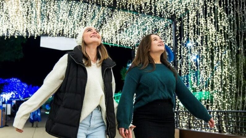 15+ Top Things to Do in San Antonio Thanksgiving Week (2026) 11 Things to do in San Antonio Thanksgiving week - SeaWorld presents Christmas Celebration