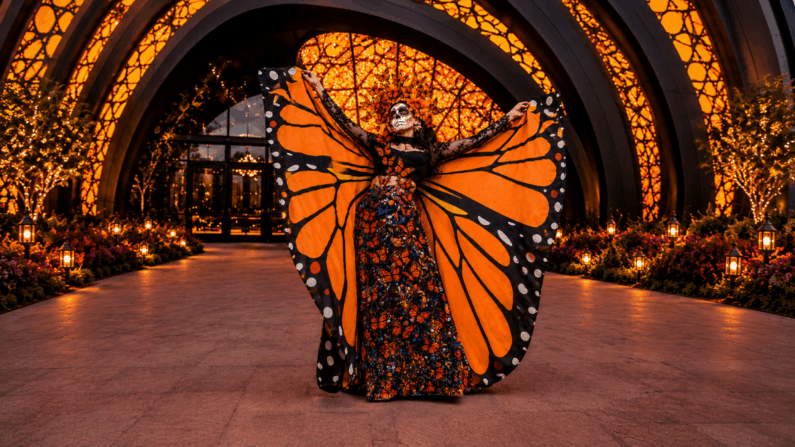 San Antonio Highlights: October 19 to October 22 – Food, Music, Arts & More 11 San Antonio picks October 19 to 22 2026 - Dia de los Muertos: The Experience at The Monarch