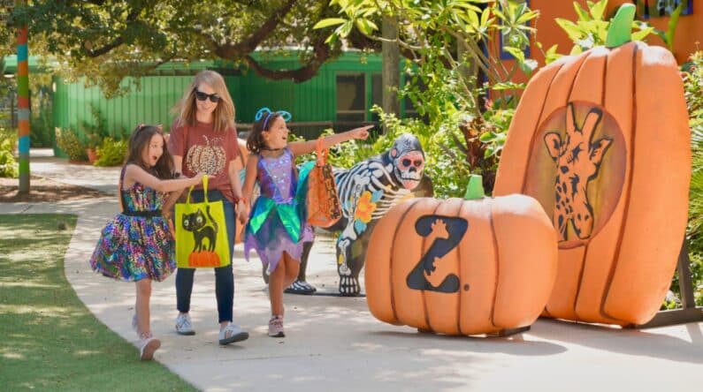 Trick or treat San Antonio - Zoo Boo! Presented by PNC Bank